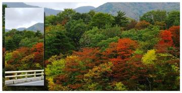 ファイル名: 2013-10-35-640.jpg
ファイルサイズ: 87.9KB
→クリックで元のサイズを表示 2013-10-35-640