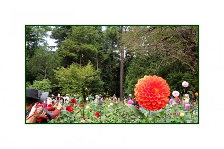ファイル名: Collage-10-06-900.jpg
ファイルサイズ: 67.7KB
→クリックで元のサイズを表示 Collage-10-06-900