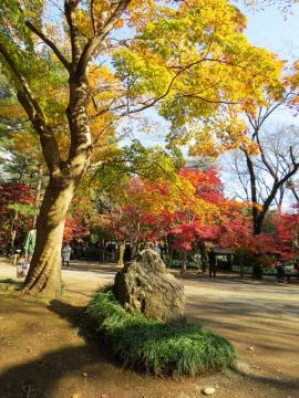 ファイル名: IMG_8214-640.jpg
ファイルサイズ: 195.3KB
→クリックで元のサイズを表示 IMG_8214-640