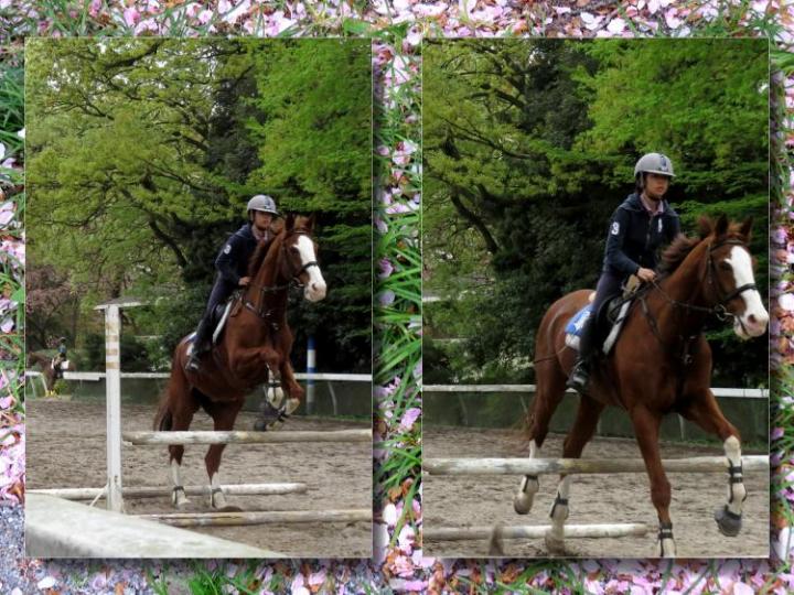ファイル名: Collage-04-13.jpg
ファイルサイズ: 108.8KB
→クリックで元のサイズを表示 Collage-04-13