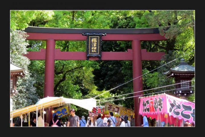 ファイル名: Collage-2017-05-12.jpg
ファイルサイズ: 91.4KB
→クリックで元のサイズを表示 Collage-2017-05-12