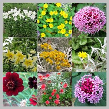 ファイル名: Collage-1-480.jpg
ファイルサイズ: 118.6KB
→クリックで元のサイズを表示 Collage-1-480