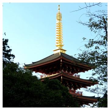 ファイル名: Collage-10-01-600.jpg
ファイルサイズ: 103.2KB
→クリックで元のサイズを表示 Collage-10-01-600