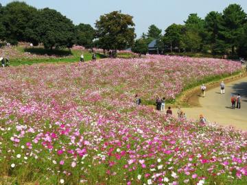 ファイル名: IMG_7912-640.jpg
ファイルサイズ: 196.3KB
→クリックで元のサイズを表示 IMG_7912-640