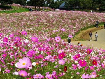 ファイル名: IMG_7914-640.jpg
ファイルサイズ: 214.1KB
→クリックで元のサイズを表示 IMG_7914-640