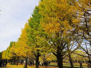 ファイル名: IMG_8025-640.jpg
ファイルサイズ: 181KB
→クリックで元のサイズを表示 IMG_8025-640