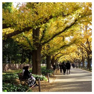ファイル名: Collage-12-19-480.jpg
ファイルサイズ: 116.2KB
→クリックで元のサイズを表示 Collage-12-19-480