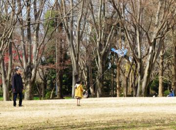 ファイル名: IMG_8486-640.jpg
ファイルサイズ: 176.9KB
→クリックで元のサイズを表示 IMG_8486-640